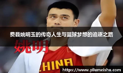 必一bsports体育